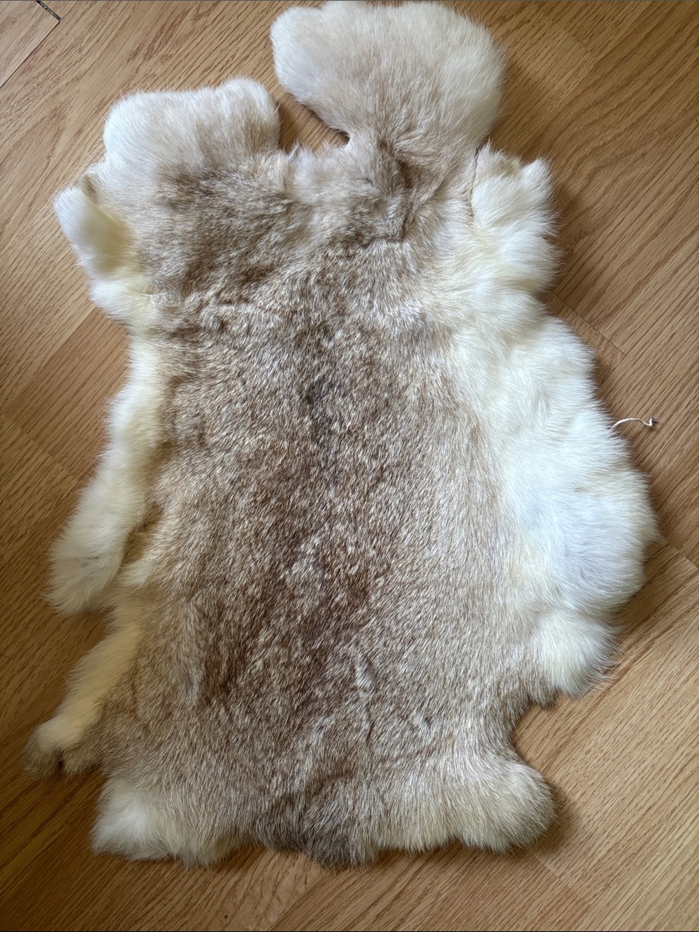B0113 rabbit pelt Cream and Light Brown